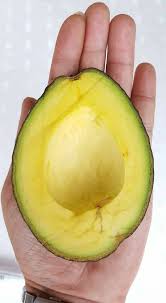 This is a great climate for growing avocados, and the beautiful hillsides of san. Avocado Plants Suitable Veracado Avocado Malaysia Page Facebook