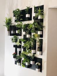 Capill O Concepts Capill O Cube Mur Vegetal Capillo Capillocube Vegetaux Decoration Interieur Murv Mur Vegetal Interieur Etagere Vegetale Mur Vegetal