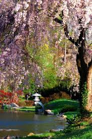 One Of My Favorite Reading Spots Japanese Gardens At Maymont Richmond Va Maymont Richmond Va Public Garden