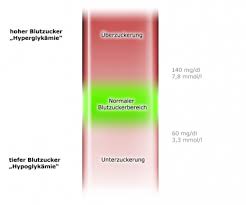 Mindestens 6 stunden nahrungskarenz und nur wasser oder ungesüßten tee. Uber Und Unterzuckerung Bei Typ 1 Diabetes