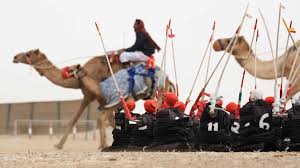 Once just a domesticated working animal, camels in recent. Robots Ride Camels During Race In Dubai Cgtn