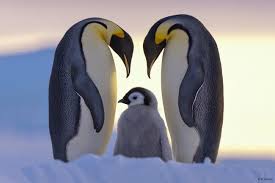 This is how you get that special person. How Can I Tell True And Permanent Love Integral Relationship