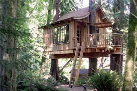 The Upper Pond Tree House Exterior Beautiful Tree Houses Tree House Cool Tree Houses