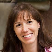 FASAVA Congress 2017: Directory