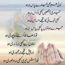 Happy Birthday Wishes For Cousin Sister In Urdu Pin On Bro Sis