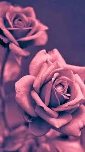 Bebsa pakain untuk bisnis, proyek dan lainnya. Wallpaper Hp Cantik Dan Keren Photos Facebook