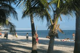 1000 atlantic boulevard, key west, fl 33040. Smathers Beach In Key West Review Worth Visiting Key West Beach