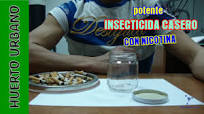 HuertoUrbano. Potente insecticida casero de nicotina - YouTube