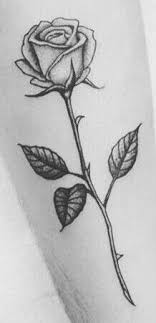 Desenh0 Arts Para Ver Desenhos Parecidos Pencil Drawings Of Flowers Roses Drawing Rose Drawing