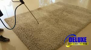 Bundaberg's classic carpet cleaning & pest control has the technology. Woorim Carpet Cleaning Pest Control Get 3 Rooms 80 Affordable