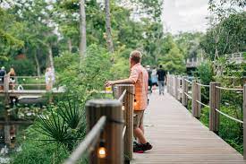 5 stars for the brews and bar experience, but 2 stars for the rest at best. Our Story Wicked Barley