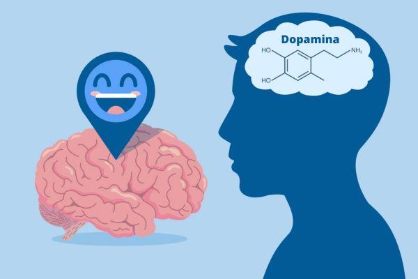 Dopamina: o que é e para que serve - PrePara ENEM
