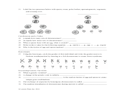 Asexual reproduction with uniform offspring. Genetic Variation Worksheet Worksheet For 9th 12th Grade Lesson Planet