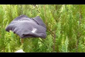 So bekommen sie also harzflecken aus ihrer kleidung. Video Baumharz Aus Der Kleidung Entfernen So Geht S