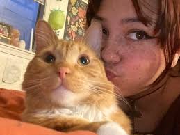 Fundraiser by Shawna Spicer : Help Bug Get the Care He Needs