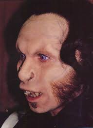 Evolution of wolf form in Bram Stoker's Dracula