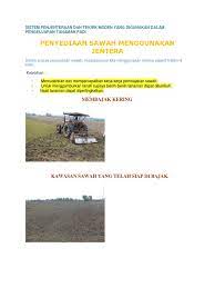 Penanaman benih padi di area pembibitan dilakukan dengan distribusi secara merata. Penanaman Padi