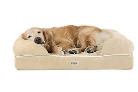 Our best large dog beds was carefully selected to offer you great value for your money. The 12 Best Dog Beds Of 2021 Hgtv
