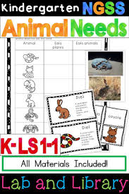 Pin On Ngss Kindergarten Next Generation Science Standards