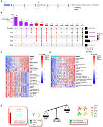 A pre-vaccination immune metabolic interplay determines the protective  antibody response to a dengue virus vaccine: Cell Reports