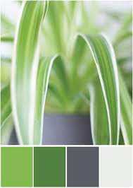 12 Colours Of Handmade Fashion Wird Grun Mein Neues Blau Tweed Greet Diy Blog Uber Diy Fashion Lifestyle Grune Farbpalette Wandfarbe Grun Farbpalette Grau