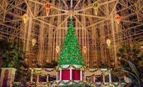 But did you check ebay? Celebrating Thanksgiving At Gaylord Palms Resort Recipe For Perfection