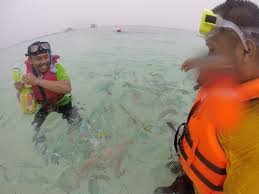 Pulau redang) is an island in kuala nerus district, terengganu, malaysia. Program Jati Diri Dan Penghayatan Taman Laut Pulau Redang Terengganu World Scouting