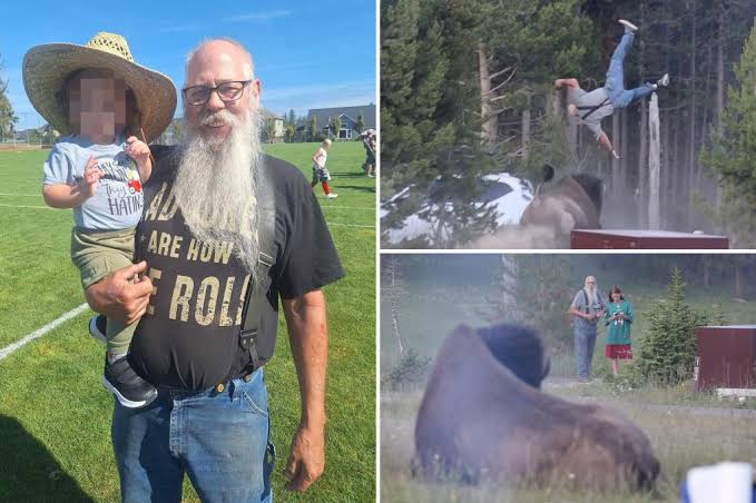 Yellowstone visitor flung into the air by bison identified as grandfather