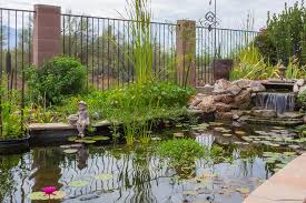 Maybe you would like to learn more about one of these? Tucson Ponds Streams And Waterfalls By X Stream Ponds
