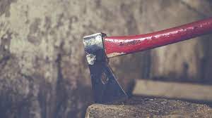 Dieser film hilft ihnen bei der richtigen vorbereitung der holzernte und gibt ihnen eine schrit. Baum Fallen Tipps Zu Genehmigung Kosten Und Sicherheit Utopia De