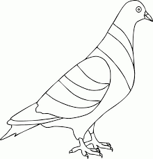 Search the world's information, including webpages, images, videos and more. Gambar Mewarnai Burung