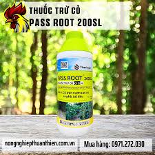 Pass root 200SL