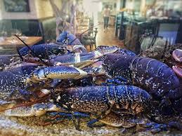 Les Meilleurs Restaurants Familiaux A Rennes Comparez 817 Restaurants Familiaux Grace Aux 80 163 Avis Sur Tripadvisor