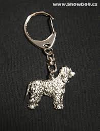 Image result for irský vodní španěl