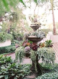 Pin By Rosemary Fahey On Backyard Ideas Plants Succulents Succulents Garden