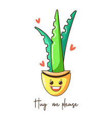 A cactus actually symbolizes endurance as it is a plant that can really stand up to the test of time and the elements. Cactus Face Vector Images Over 1 900