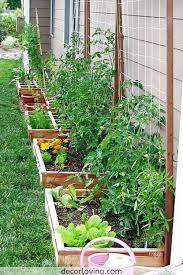 Top 20 Ideas For Vegetable Garden Designs For Backyard Landscaping Garden Layout Vegetable Small Vegetable Gardens Vegetable Garden Planning