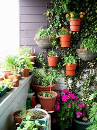 We did not find results for: 17 Ide Kreatif Bikin Kebun Sayur Di Rumah Sendiri