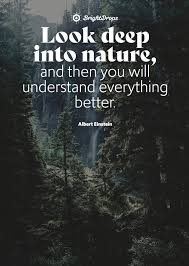 Get inspired with these great life quotes. 105 Inspirational Nature Quotes On Life And Its Natural Beauty