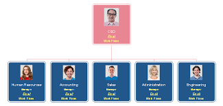 functional organizational chart