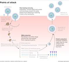 So how long would it take you to stretch out the hamstrings and permanently increase flexibility? The Challenges Of Antiviral Treatments