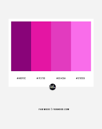 Cloth, or a garment, dyed a purple colour; Fuchsia Wedding Colour Hot Pink Wedding Colour Scheme