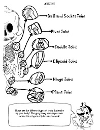 Mario Joints Anatomy Coloring Book Coloring Books Coloring Book Pages