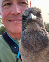 Dee Belanger's Instagram, Twitter & Facebook