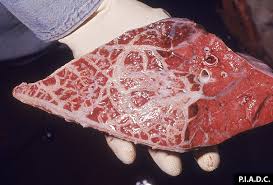 images?q=tbn:ANd9GcReONtDXKBqSqIjziDjS6ECQ5r5iOUyhBQX9A&s