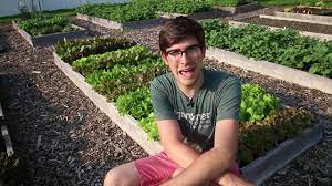 Alibaba.com offers 1,932 high intensity magnetic separation products. How To Grow High Intensity Lettuce From Seed To Harvest Youtube