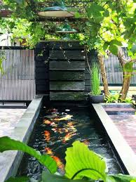 Kolam Iwak Kolam Ikan Desain Lanskap Taman Indah