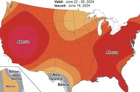 The Watchers - Watching the world evolve and transform