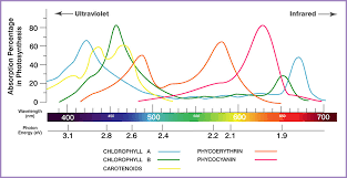 Extraordinary Marijuana Light Spectrum Chart Plants Growth