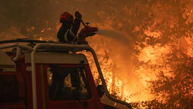 Incendies : 69 473 ou 98 000 hectares brûlés… Le record de 2022 largement battu, la France face à un chiffre "historique" - midilibre.fr